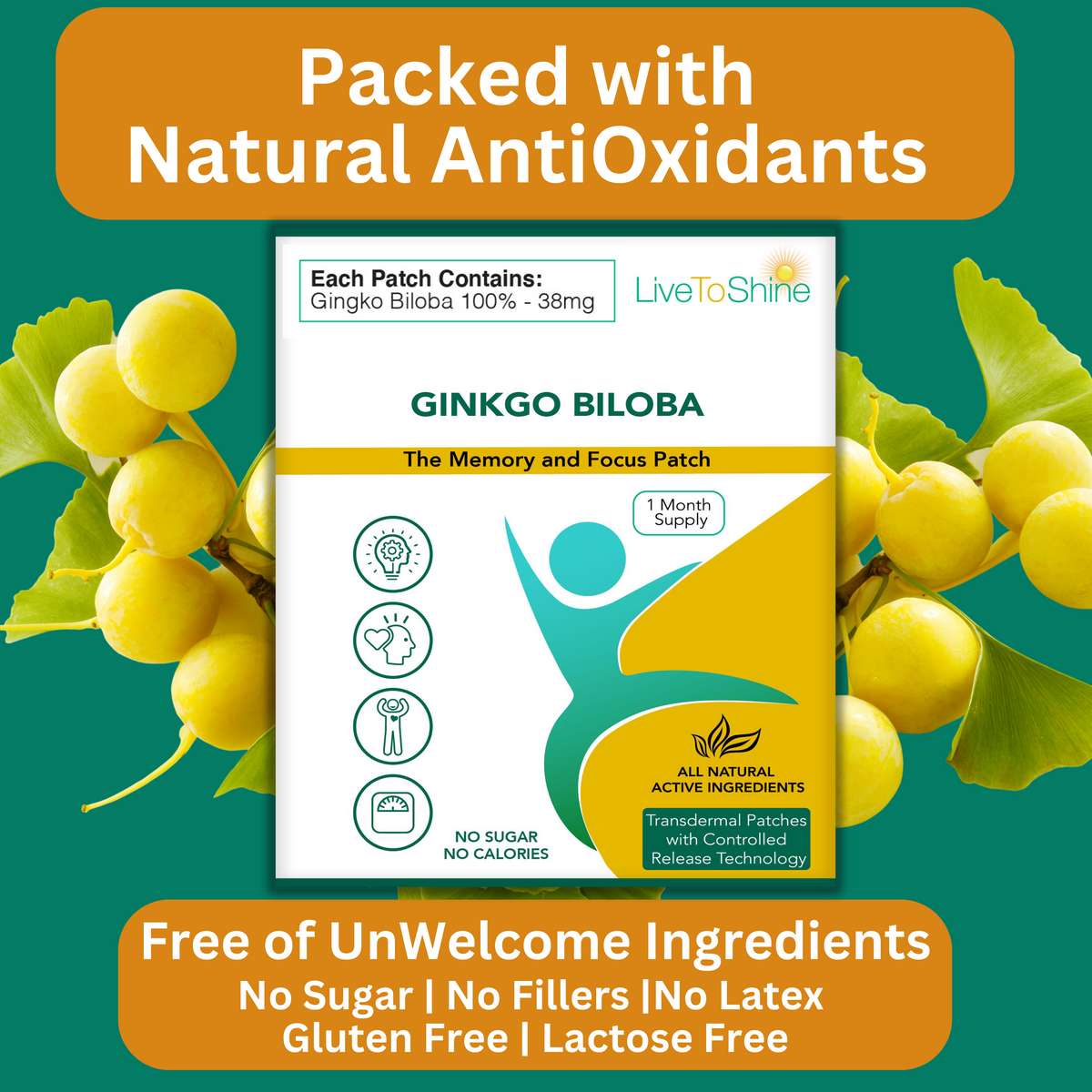 Ginkgo Biloba Patch